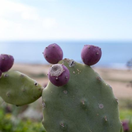 桑皮耶里Sea View House, Ponente- Centosicilie公寓 外观 照片